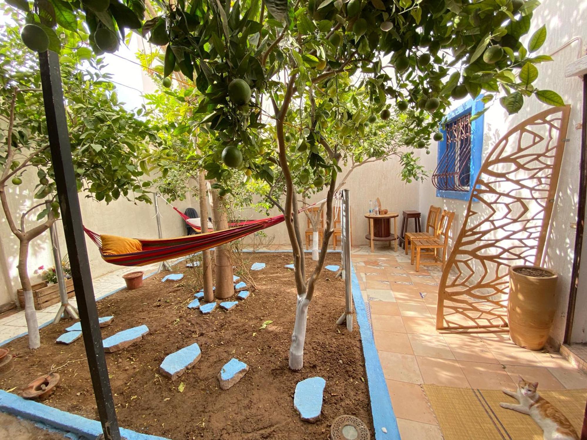 Отель Red Carpet Surf Camp Sea, Mountain & Garden Escape Tamraght Экстерьер фото